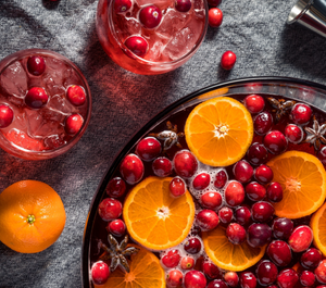 Sparkling Nonalcoholic Cranberry Punch (Recipe)